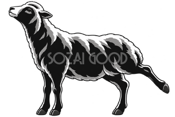 おしゃれな羊の無料イラスト素材｜白黒の平面表現・首を伸ばし後ろ脚を引いて立つ羊 115545