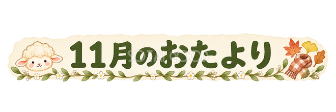 11月のおたより見出しの羊 11月のおたより見出しの羊
