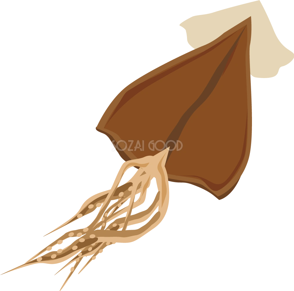 するめ 食べ物 無料イラスト