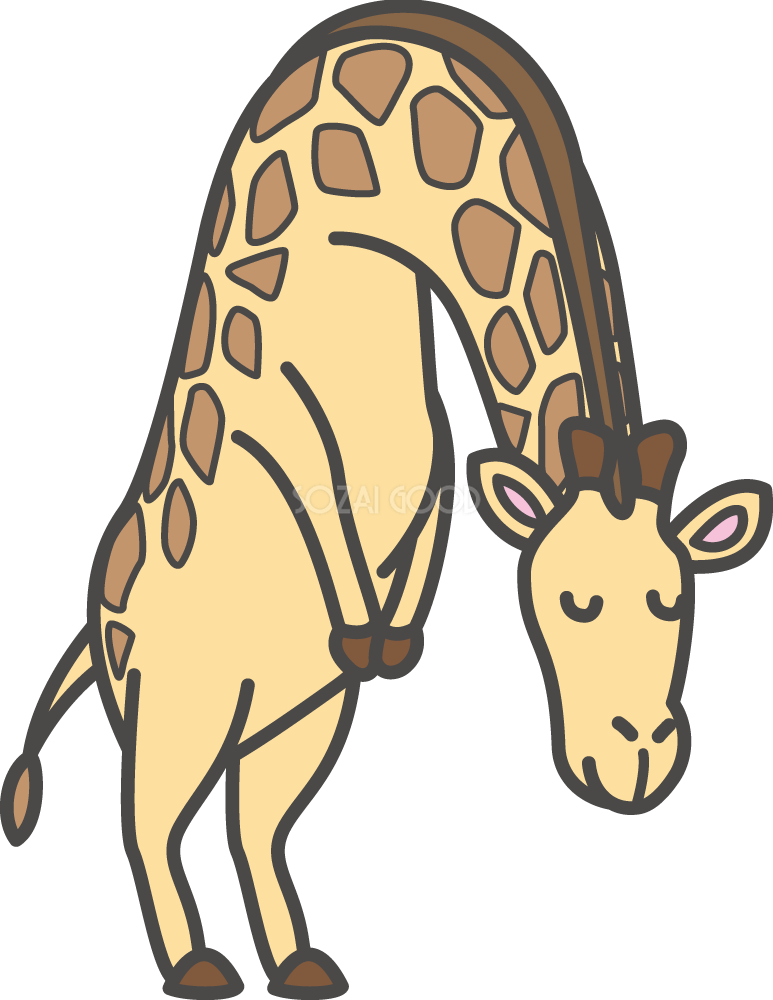 キリンお辞儀 無料イラスト