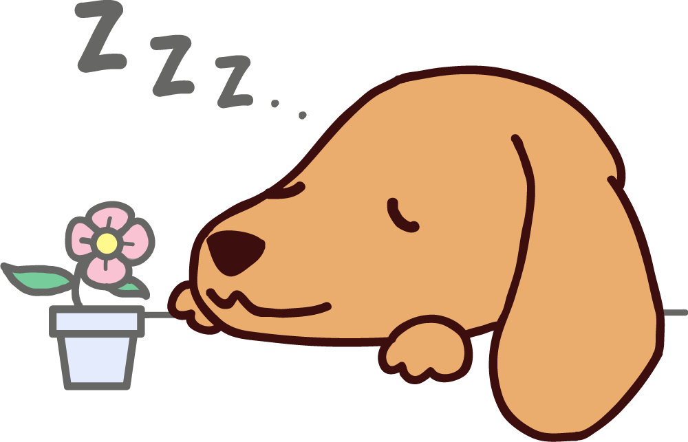 眠るダックスフンド 無料犬イラストに写真・文字を入れる
