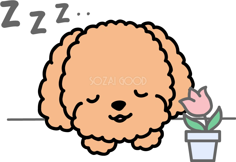 眠るプードル 無料犬イラスト