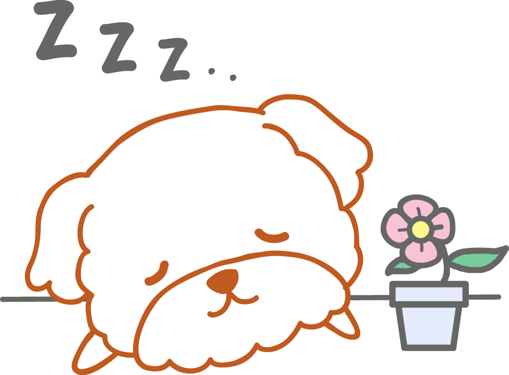 眠るマルチーズ 無料犬イラストに写真・文字を入れる