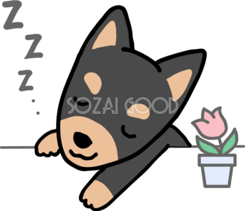 眠るミニチュアピンシャー 無料犬イラスト