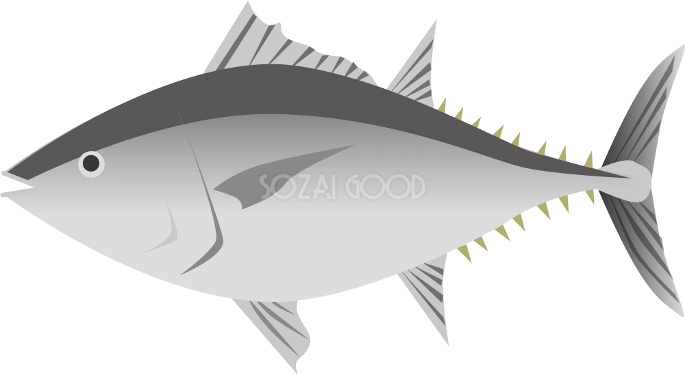 マグロ 無料魚イラスト