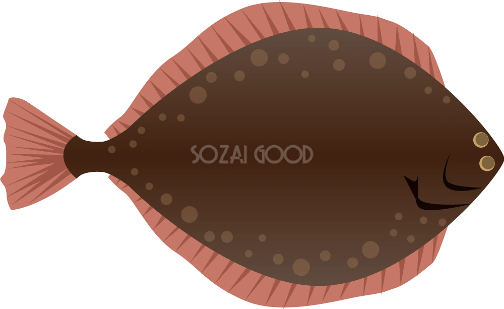 カレイ 無料魚イラスト