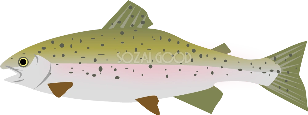 ニジマス 無料魚イラスト