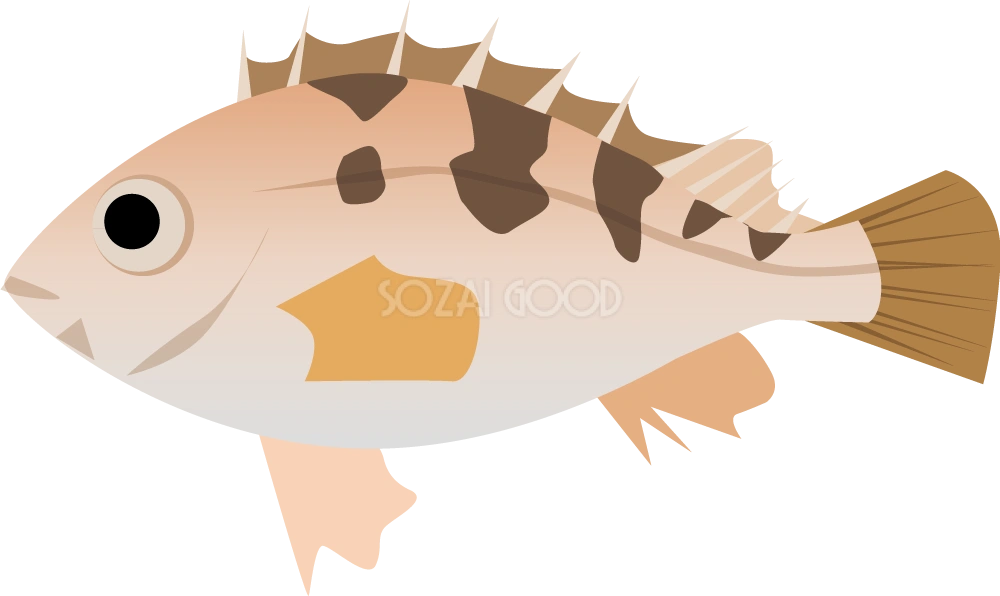 メバル 無料魚イラスト