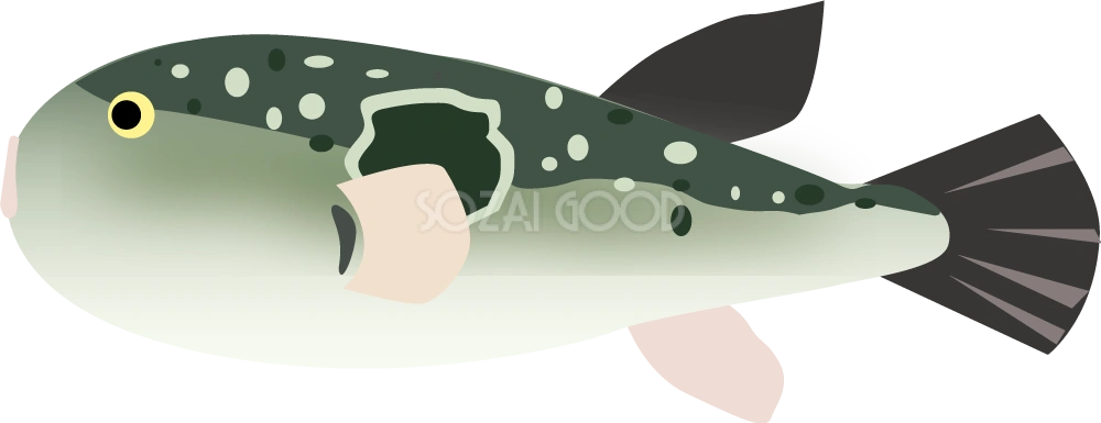 フグ 無料魚イラスト