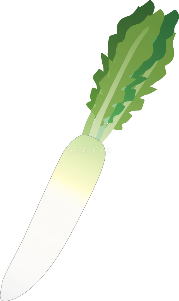 だいこん 野菜イラスト