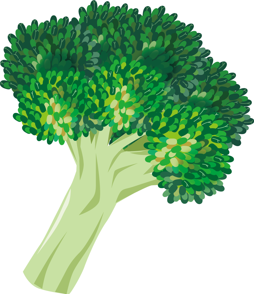 ブロッコリー 野菜イラストに写真・文字を入れる