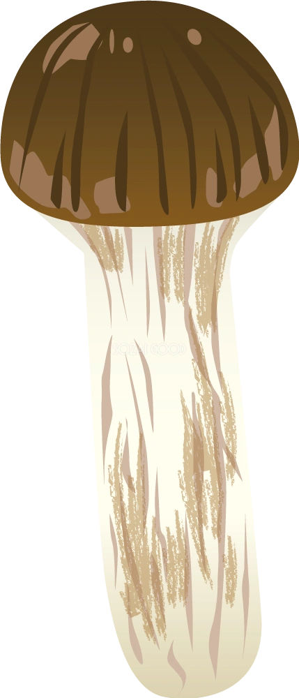松茸 野菜イラスト