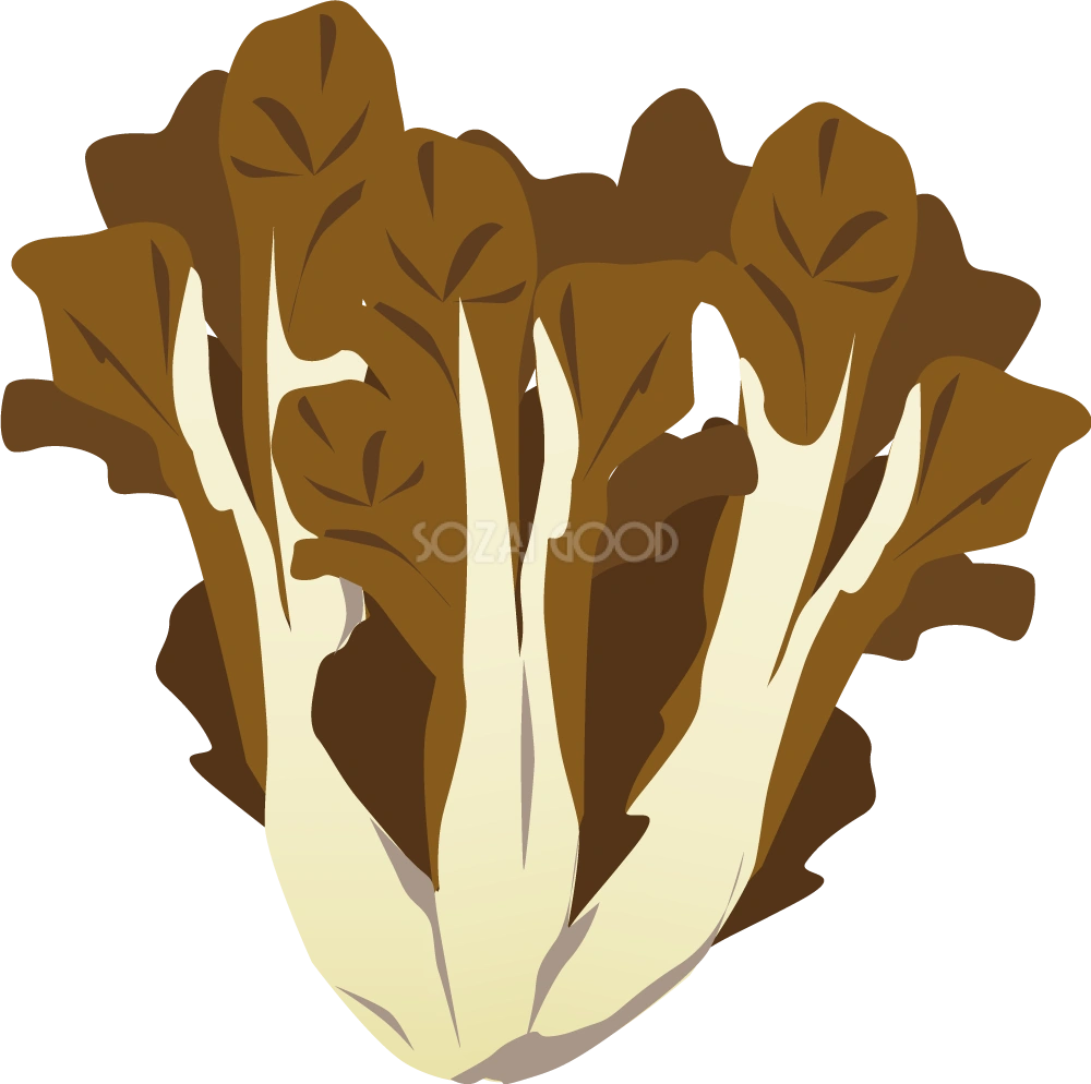 舞茸 野菜イラスト