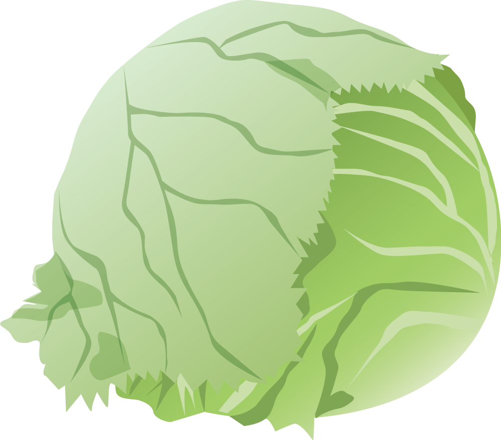 レタス 野菜イラストに写真・文字を入れる