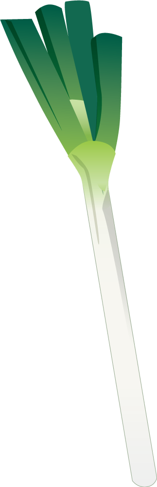 ネギ 野菜イラストに写真・文字を入れる