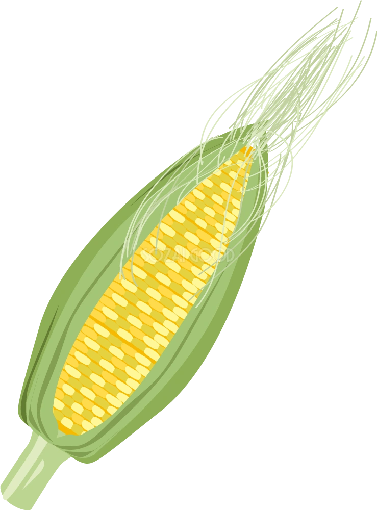 とうもろこし 野菜イラスト