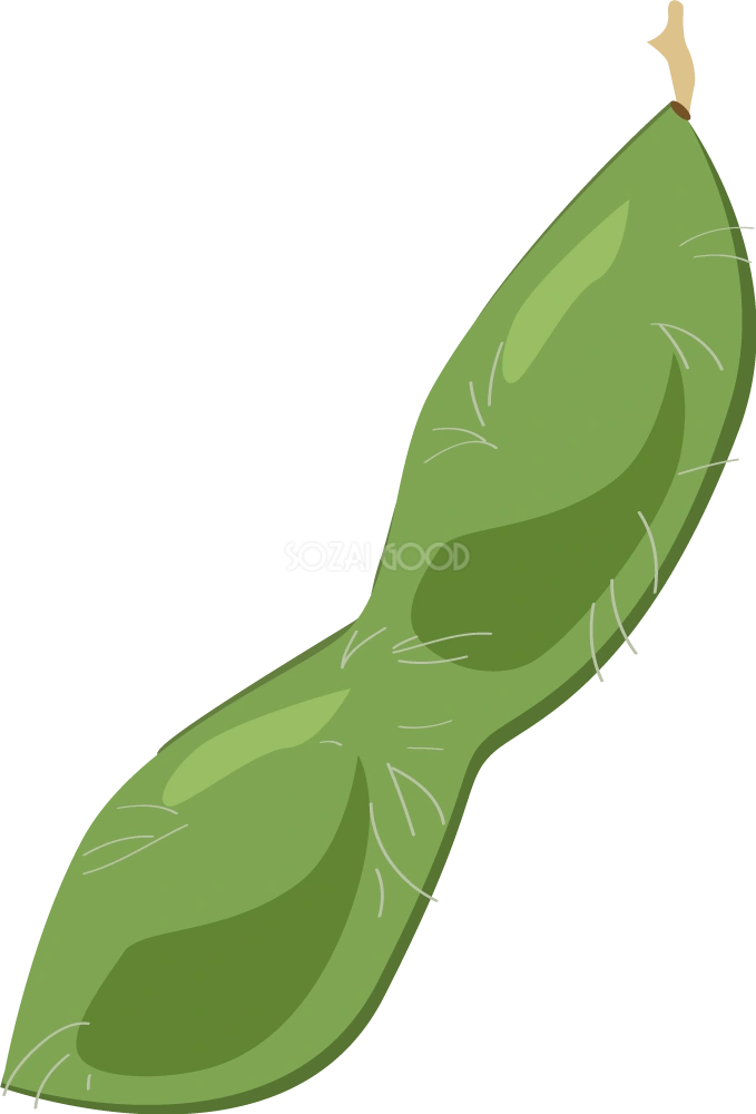 枝豆 野菜イラスト