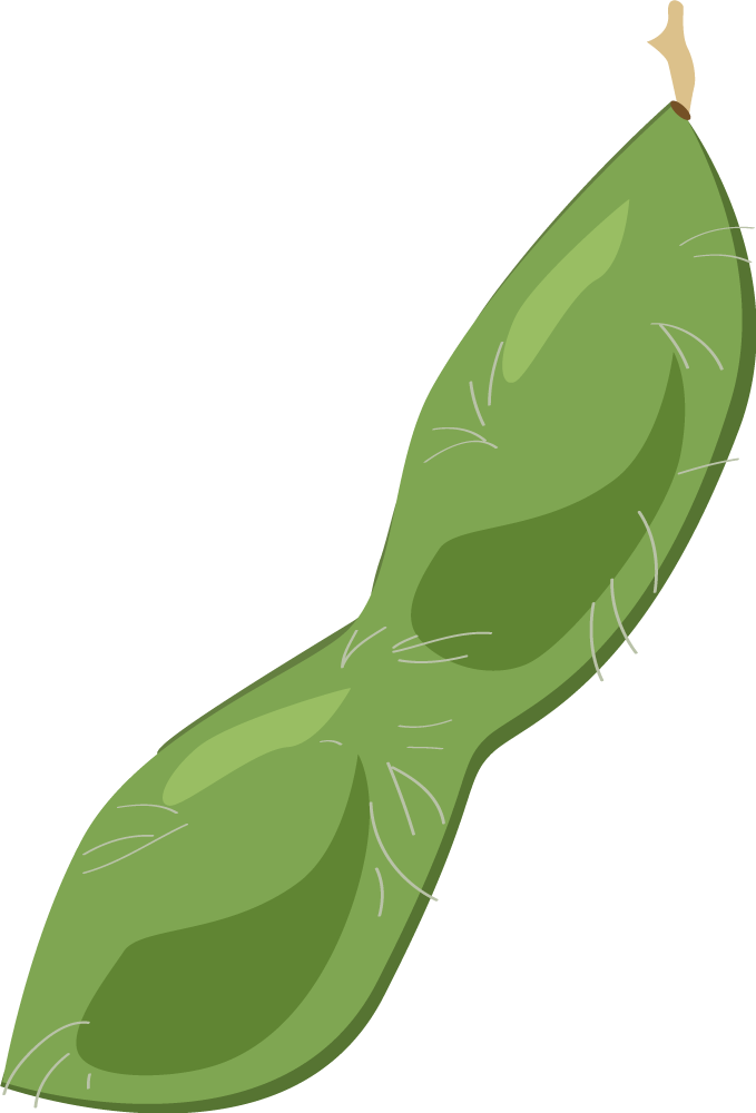 枝豆 野菜イラストに写真・文字を入れる