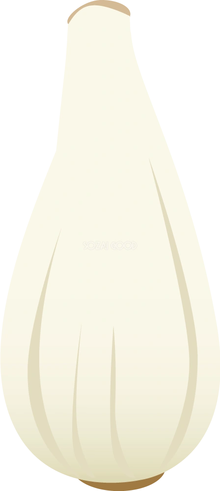 ラッキョウ 野菜イラスト