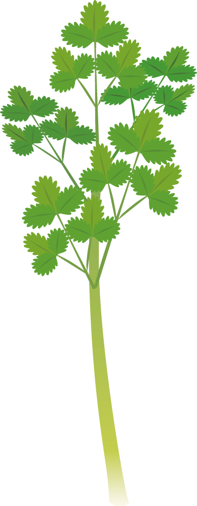 セリ 野菜イラストに写真・文字を入れる