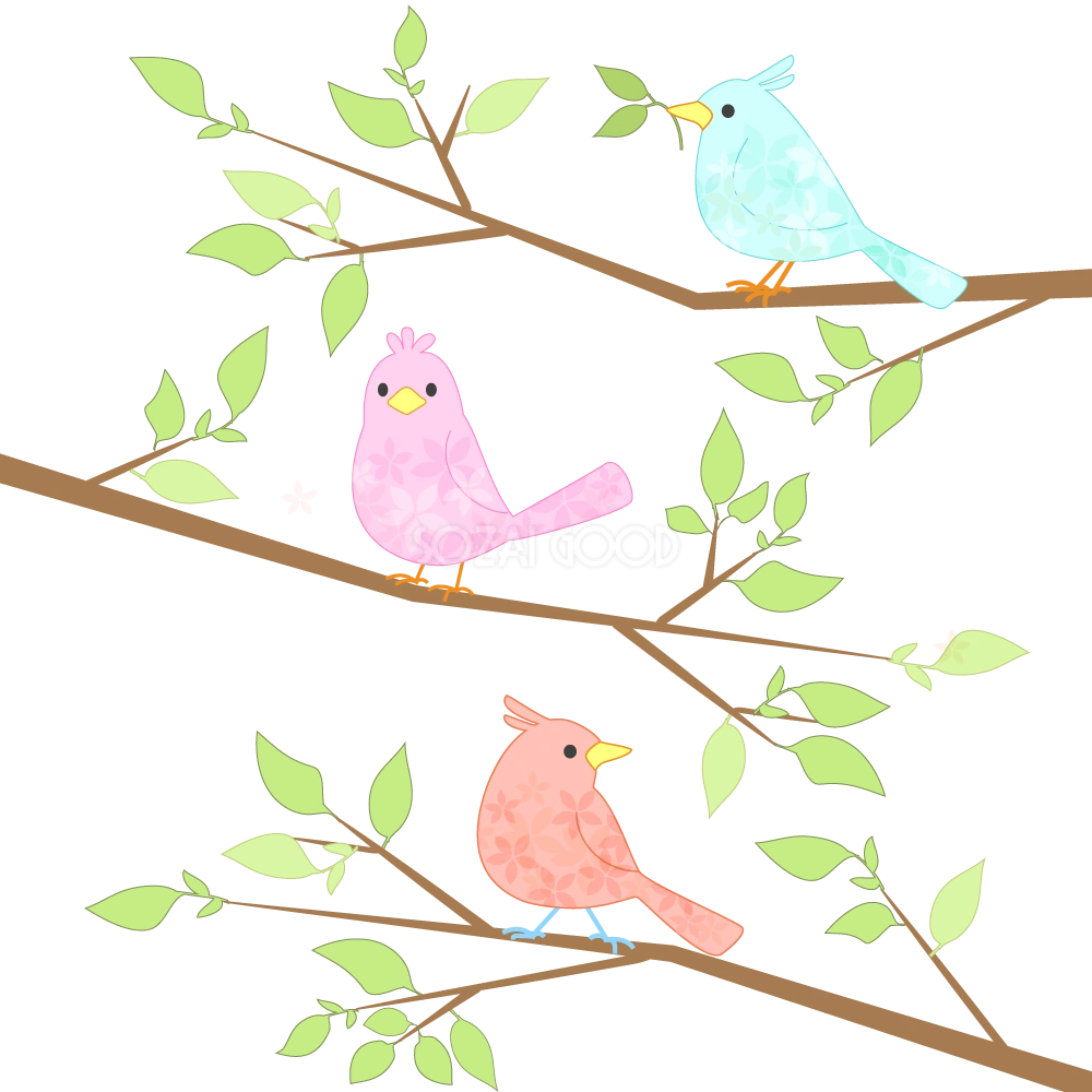 枝と鳥(正面と横)無料イラスト
