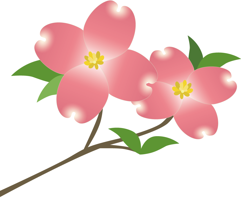 ハナミズキ お花 無料イラストに写真・文字を入れる