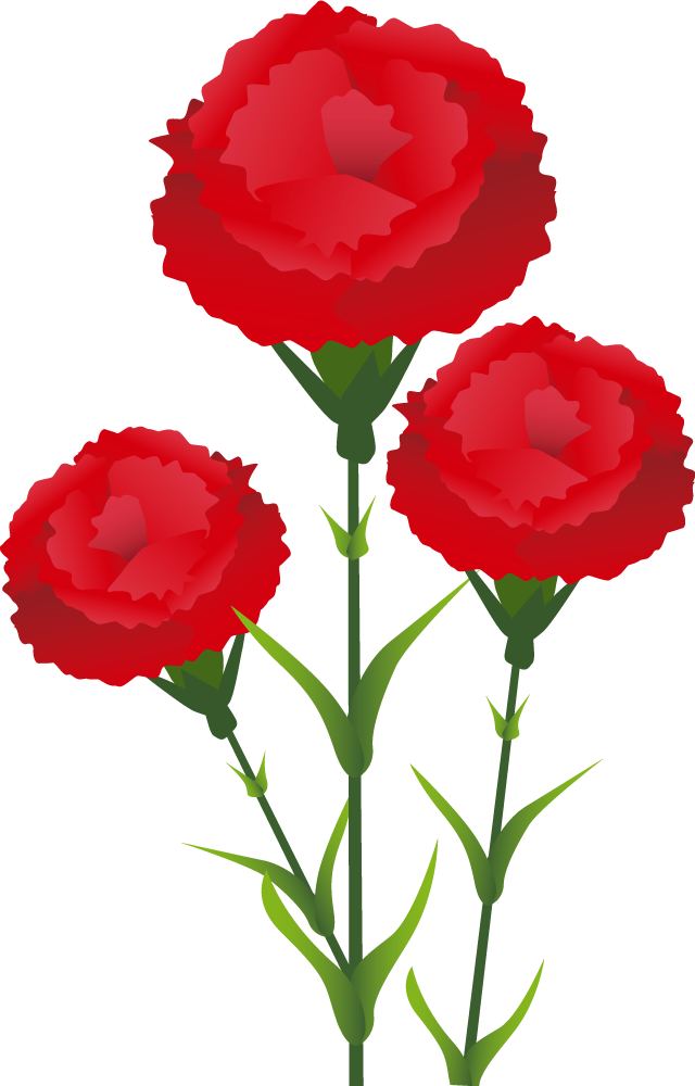 カーネーション お花 無料イラストに写真・文字を入れる
