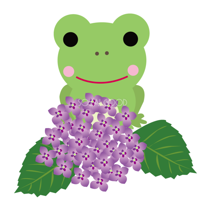 紫陽花を見るかわいいカエル 無料イラスト 素材good