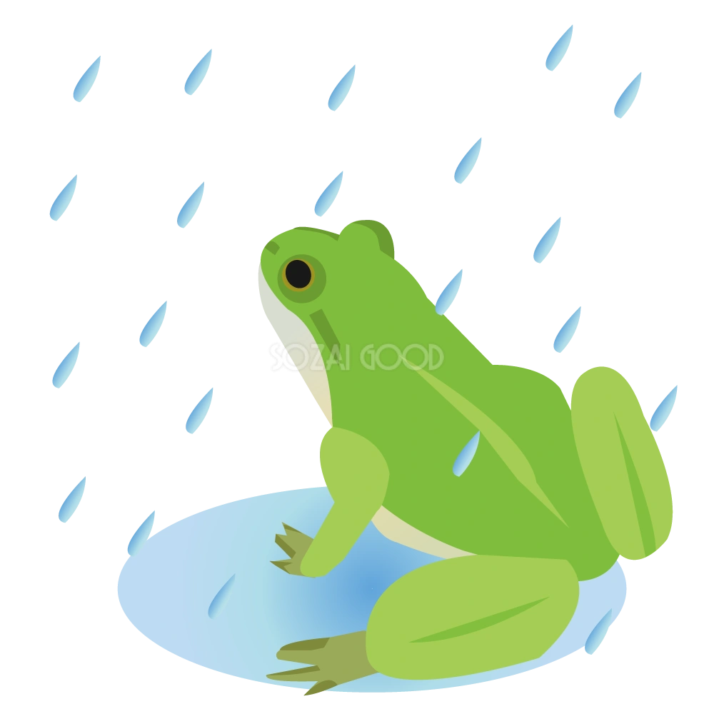 雨に濡れるリアルなカエル＿無料イラスト
