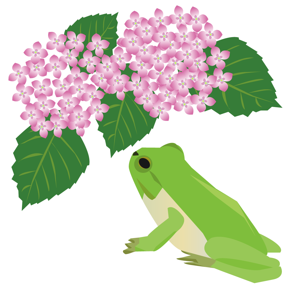 紫陽花とリアルなカエル＿無料イラストに写真・文字を入れる