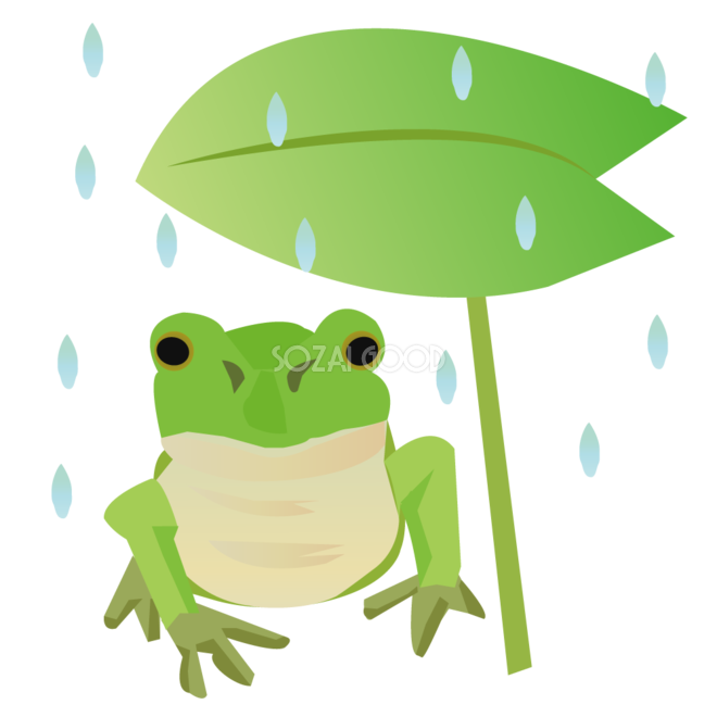 葉の下で雨宿りをするリアルなカエル 無料イラスト 素材good