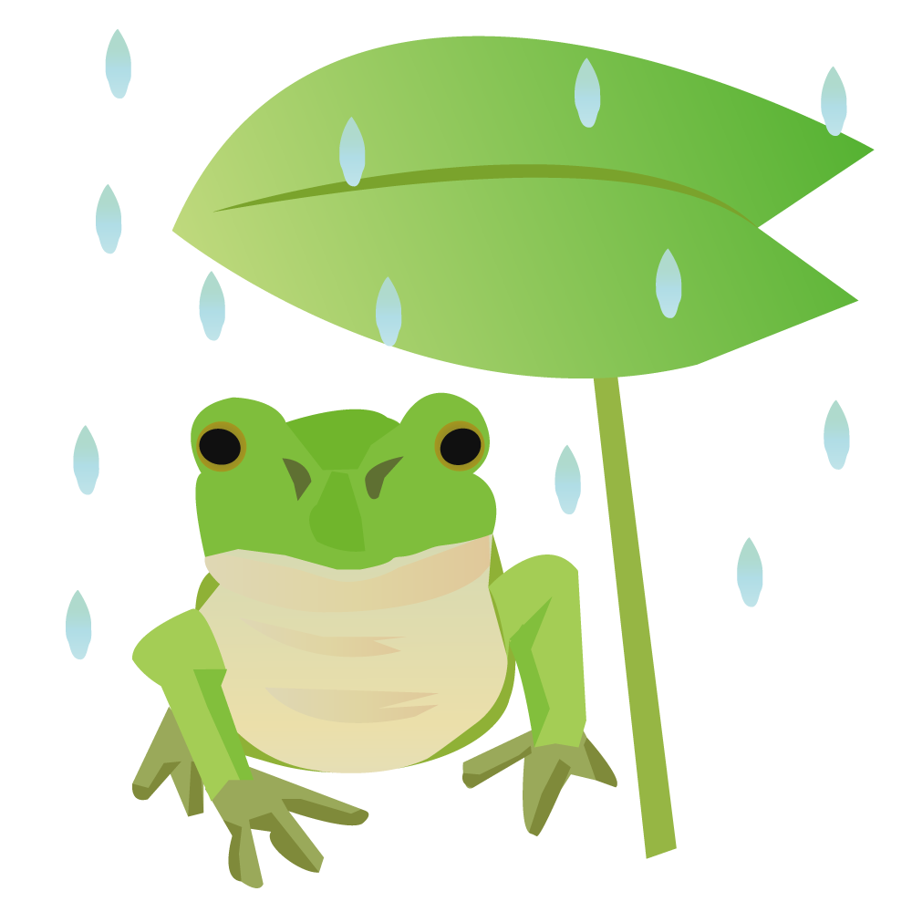 葉の下で雨宿りをするリアルなカエル＿無料イラストに写真・文字を入れる