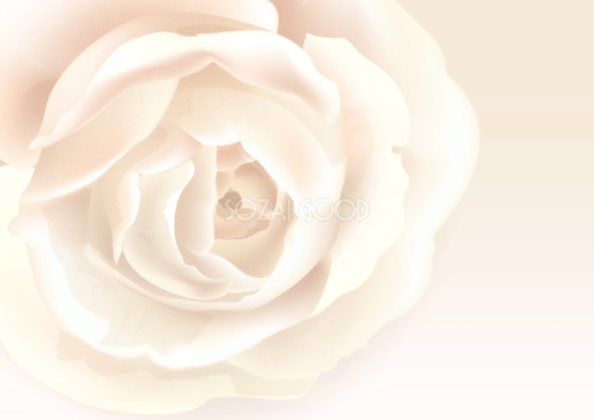 ベージュ背景薔薇イラスト素材30911