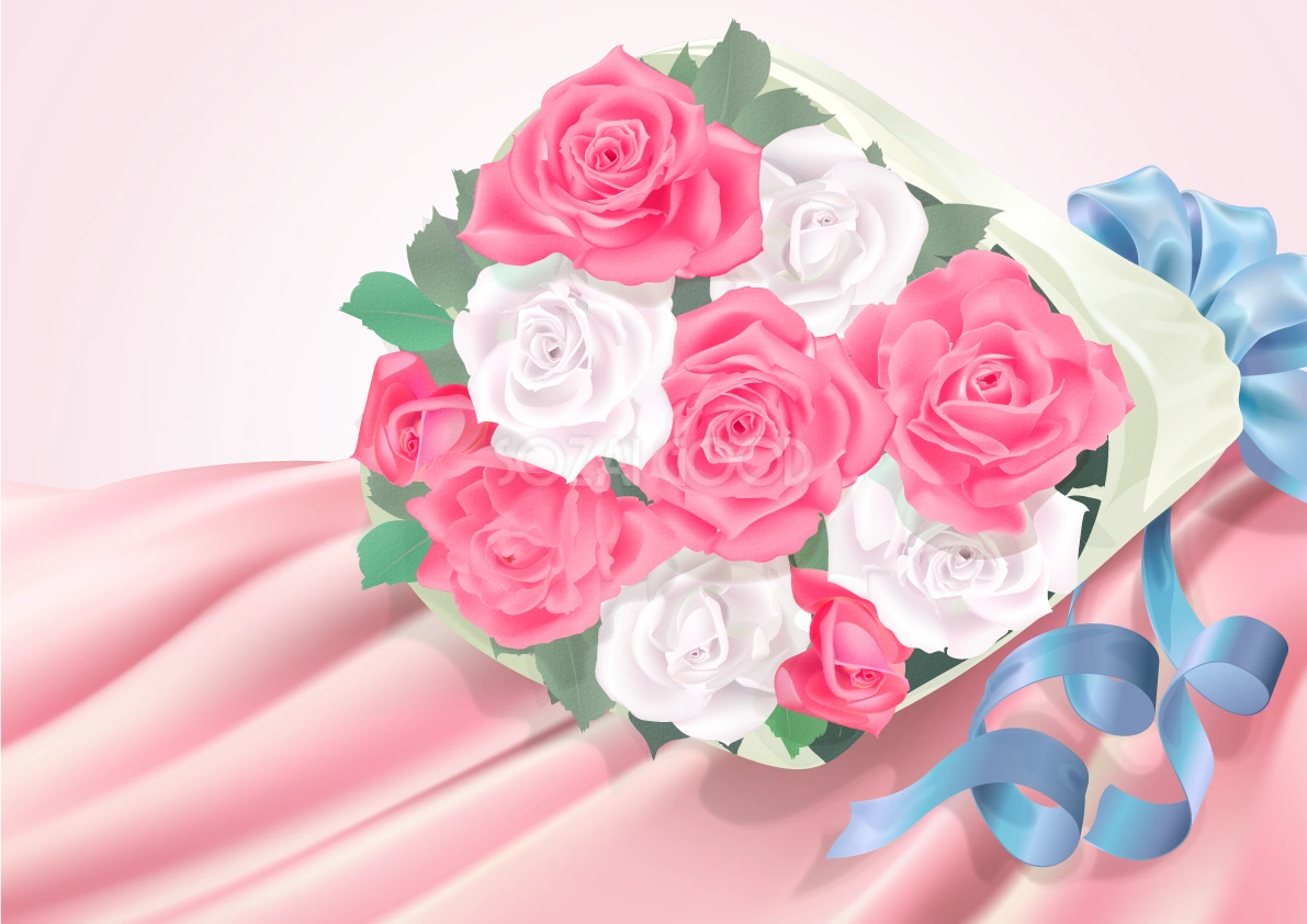 白とピンクの薔薇と布 背景イラスト素材