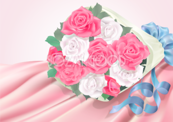 白とピンクの薔薇と布 背景イラスト素材