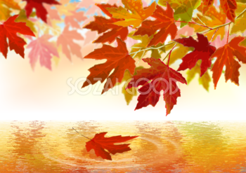 紅葉色に染まる水面 背景イラスト素材