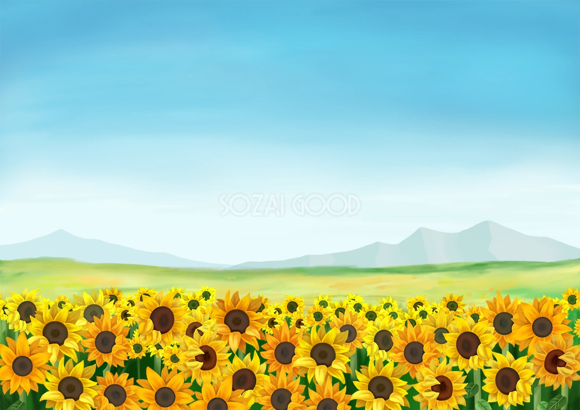 広大な向日葵畑 夏の無料背景イラスト31464