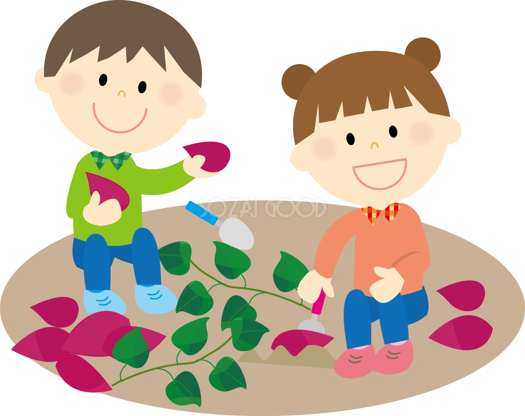 子供が芋ほりで収穫している 秋の無料イラスト33354