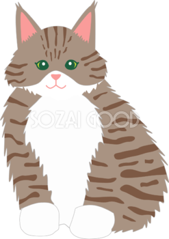 お洒落な猫イラスト「メインクーン」 無料 フリー34558