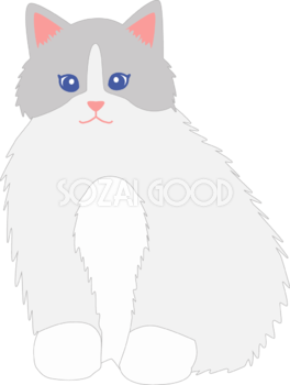お洒落な猫イラスト「ラグドール」 無料 フリー34562
