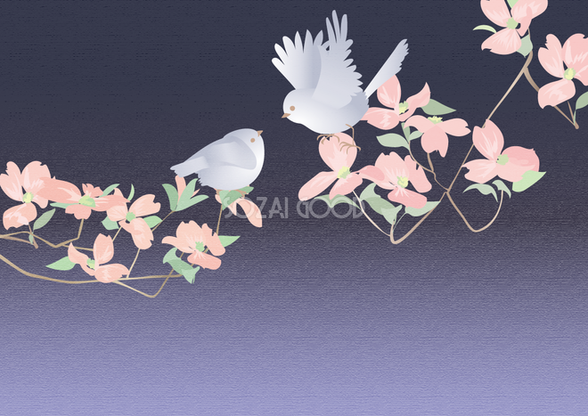 綺麗かわいい鳥とお花の背景無料イラスト 素材good