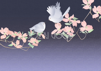 綺麗かわいい鳥とお花の背景無料イラスト37902