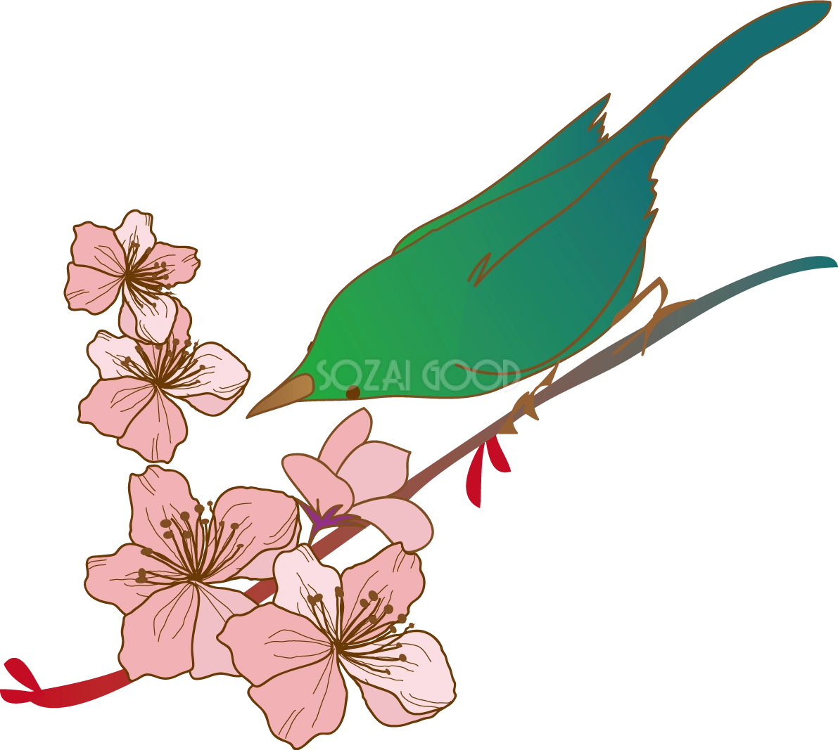 綺麗かっこいい桜と鳥の春イラスト39544
