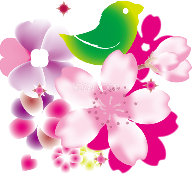 かわいい桜 春の花びらイラスト インパクト 鳥 39556 素材good