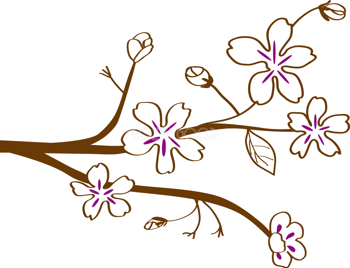 かわいい桜 春の花イラスト(シンプル和風)39560