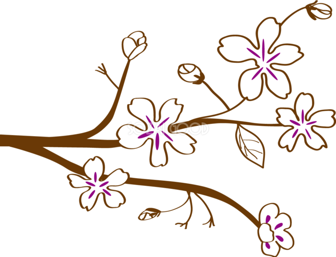かわいい桜 春の花イラスト シンプル和風 39560 素材good