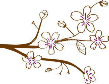 かわいい桜 春の花イラスト(シンプル和風)39560