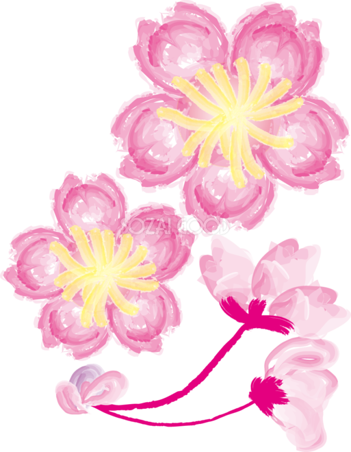かわいい桜 春の花びらイラスト パステルアート 39572 素材good
