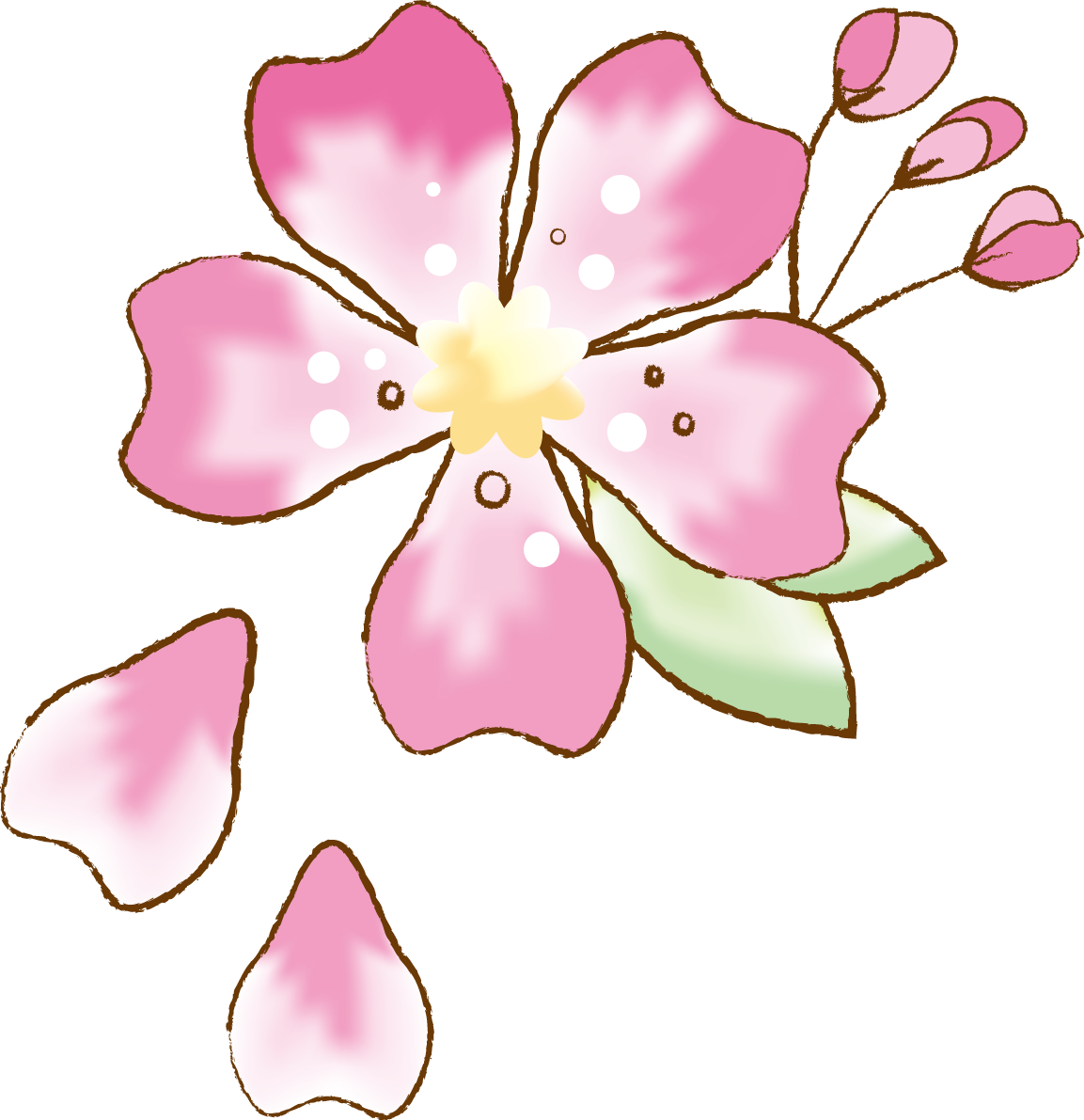 かわいい桜 春の花びらイラスト(水彩)39576に写真・文字を入れる