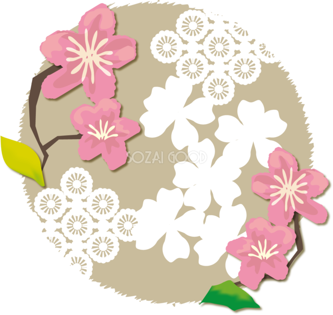 かわいい桜 春の花びらイラスト 和風モダン 39592 素材good